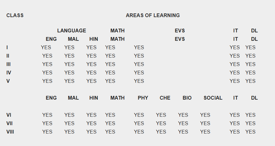 curriculum